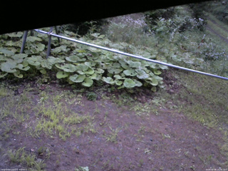 長野県菅平高原 ゆたか山荘 駐車場 2026/08/08 18:30