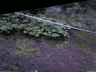 長野県菅平高原 ゆたか山荘 駐車場 2026/08/08 18:45