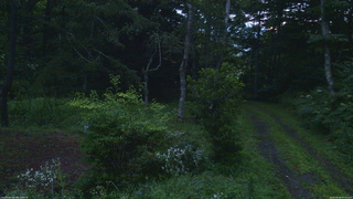 長野県菅平高原 ゆたか山荘 坂上 2026/08/08 05:00