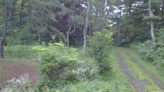 長野県菅平高原 ゆたか山荘 坂上 2026/08/08 05:15