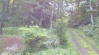長野県菅平高原 ゆたか山荘 坂上 2026/08/08 05:30