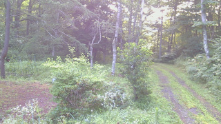 長野県菅平高原 ゆたか山荘 坂上 2026/08/08 05:45