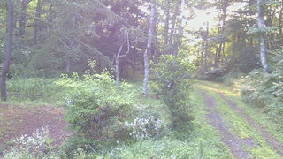 長野県菅平高原 ゆたか山荘 坂上 2026/08/08 06:00