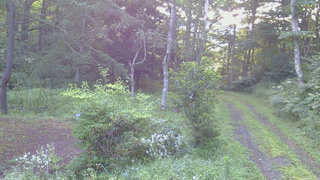 長野県菅平高原 ゆたか山荘 坂上 2026/08/08 06:15