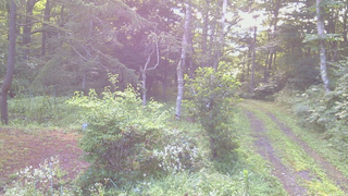 長野県菅平高原 ゆたか山荘 坂上 2026/08/08 06:30