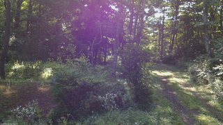 長野県菅平高原 ゆたか山荘 坂上 2026/08/08 07:15