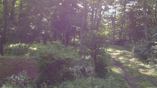 長野県菅平高原 ゆたか山荘 坂上 2026/08/08 07:30