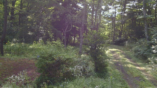 長野県菅平高原 ゆたか山荘 坂上 2026/08/08 07:45