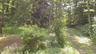 長野県菅平高原 ゆたか山荘 坂上 2026/08/08 08:30