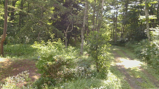 長野県菅平高原 ゆたか山荘 坂上 2026/08/08 08:45
