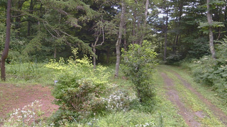 長野県菅平高原 ゆたか山荘 坂上 2026/08/08 09:30