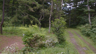 長野県菅平高原 ゆたか山荘 坂上 2026/08/08 09:45