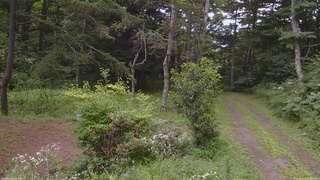 長野県菅平高原 ゆたか山荘 坂上 2026/08/08 10:00