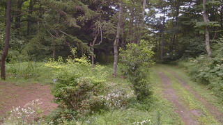 長野県菅平高原 ゆたか山荘 坂上 2026/08/08 10:15