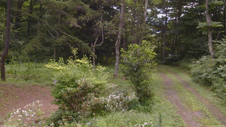 長野県菅平高原 ゆたか山荘 坂上 2026/08/08 10:30