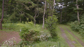 長野県菅平高原 ゆたか山荘 坂上 2026/08/08 10:45