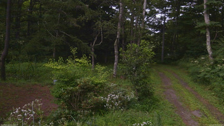 長野県菅平高原 ゆたか山荘 坂上 2026/08/08 11:00