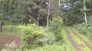 長野県菅平高原 ゆたか山荘 坂上 2026/08/08 11:30