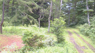 長野県菅平高原 ゆたか山荘 坂上 2026/08/08 11:45