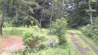 長野県菅平高原 ゆたか山荘 坂上 2026/08/08 12:00