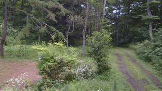 長野県菅平高原 ゆたか山荘 坂上 2026/08/08 12:15