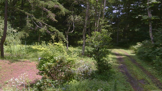 長野県菅平高原 ゆたか山荘 坂上 2026/08/08 12:30