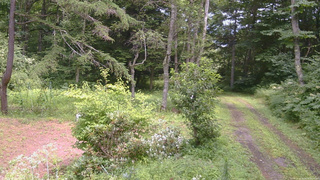 長野県菅平高原 ゆたか山荘 坂上 2026/08/08 12:45