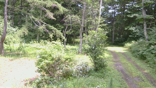 長野県菅平高原 ゆたか山荘 坂上 2026/08/08 13:00