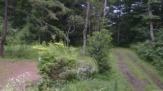 長野県菅平高原 ゆたか山荘 坂上 2026/08/08 13:15