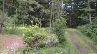 長野県菅平高原 ゆたか山荘 坂上 2026/08/08 13:30