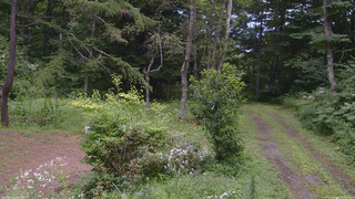 長野県菅平高原 ゆたか山荘 坂上 2026/08/08 13:45