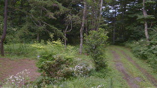 長野県菅平高原 ゆたか山荘 坂上 2026/08/08 14:00
