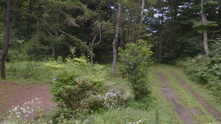 長野県菅平高原 ゆたか山荘 坂上 2026/08/08 14:15