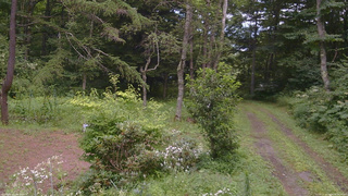長野県菅平高原 ゆたか山荘 坂上 2026/08/08 14:30