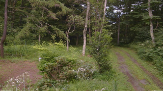 長野県菅平高原 ゆたか山荘 坂上 2026/08/08 15:00