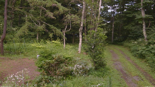 長野県菅平高原 ゆたか山荘 坂上 2026/08/08 15:15