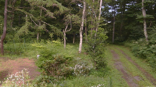 長野県菅平高原 ゆたか山荘 坂上 2026/08/08 15:30