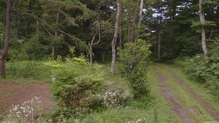 長野県菅平高原 ゆたか山荘 坂上 2026/08/08 15:45