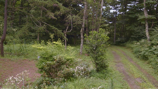 長野県菅平高原 ゆたか山荘 坂上 2026/08/08 16:00