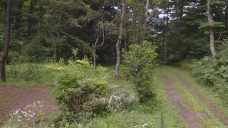 長野県菅平高原 ゆたか山荘 坂上 2026/08/08 16:15