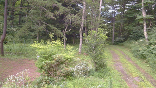 長野県菅平高原 ゆたか山荘 坂上 2026/08/08 16:45