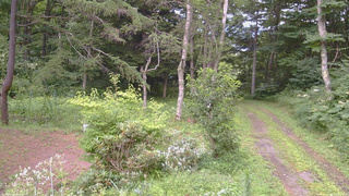 長野県菅平高原 ゆたか山荘 坂上 2026/08/08 17:00