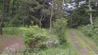 長野県菅平高原 ゆたか山荘 坂上 2026/08/08 17:15