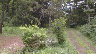 長野県菅平高原 ゆたか山荘 坂上 2026/08/08 17:30