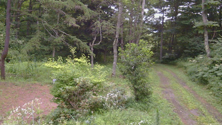 長野県菅平高原 ゆたか山荘 坂上 2026/08/08 17:45