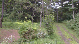 長野県菅平高原 ゆたか山荘 坂上 2026/08/08 18:00