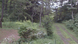 長野県菅平高原 ゆたか山荘 坂上 2026/08/08 18:15