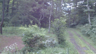 長野県菅平高原 ゆたか山荘 坂上 2026/08/08 18:30