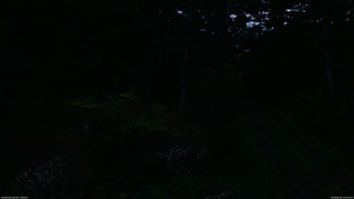 長野県菅平高原 ゆたか山荘 坂上 2026/08/08 19:00