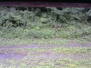 長野県菅平高原 ゆたか山荘 東側(坂下) 2026/08/09 13:45